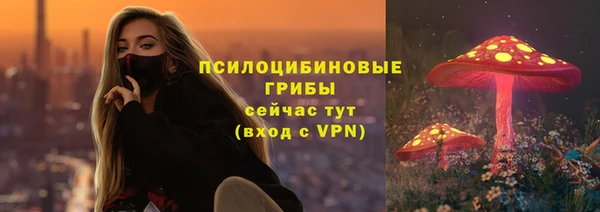 бутират Гусь-Хрустальный