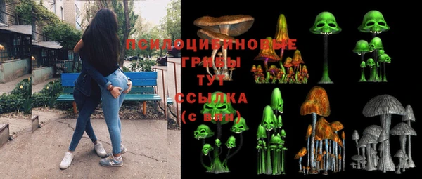 эйфоретик Гусев