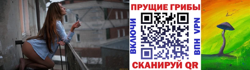 KRAKEN как зайти  Михайловка  Галлюциногенные грибы GOLDEN TEACHER  купить наркотики сайты 